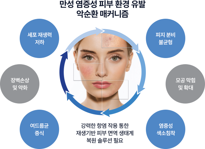 만성 염증성 피부 환경 유발 악순환 매커니즘